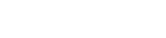 Softech Store